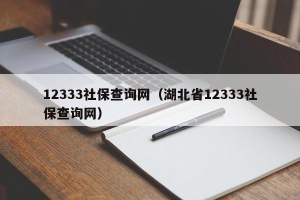 12333社保查询网（湖北省12333社保查询网）